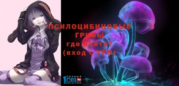 ПСИЛОЦИБИНОВЫЕ ГРИБЫ Армянск