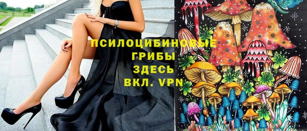 ПСИЛОЦИБИНОВЫЕ ГРИБЫ Армянск