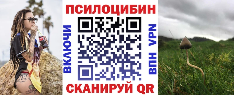Галлюциногенные грибы Psilocybe Пятигорск
