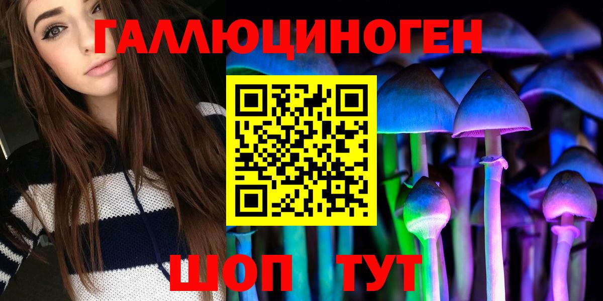 Пятигорск  Галлюциногенные грибы Psilocybine cubensis  Вход с VPN 