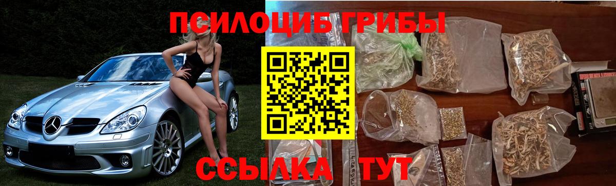 Псилоцибиновые грибы мухоморы Пятигорск